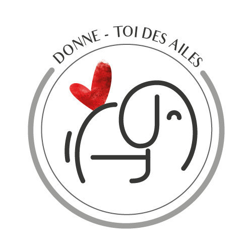 LOGO ELEPHANT QUI VOLE