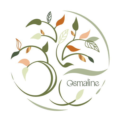 LOGO ARBRE DE VIE